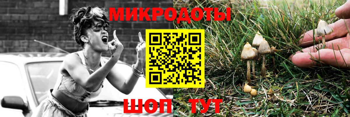 Аксай  Галлюциногенные грибы Psilocybe  Вход с VPN  Галлюциногенные грибы прущие грибы 