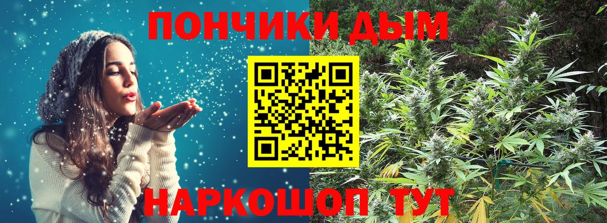 Марихуана сатива Аксай
